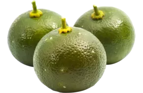 Limoen Calamansi doos 1kg
